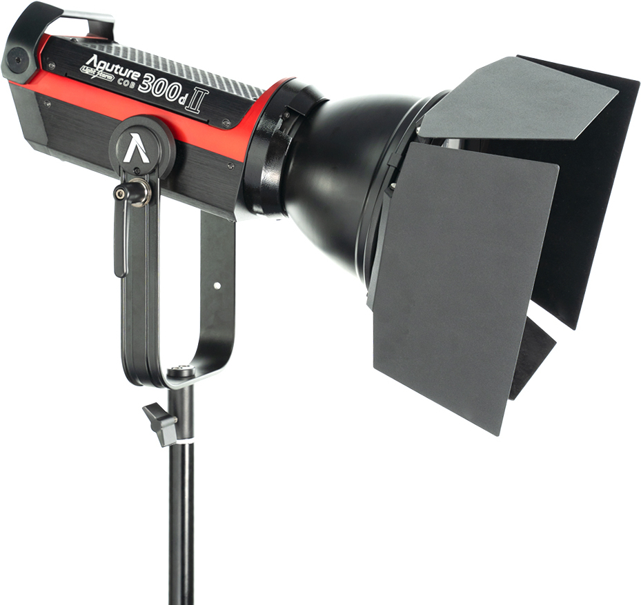 Aputure Light Storm C300d MkII Daylight LED Light (V-Mount)